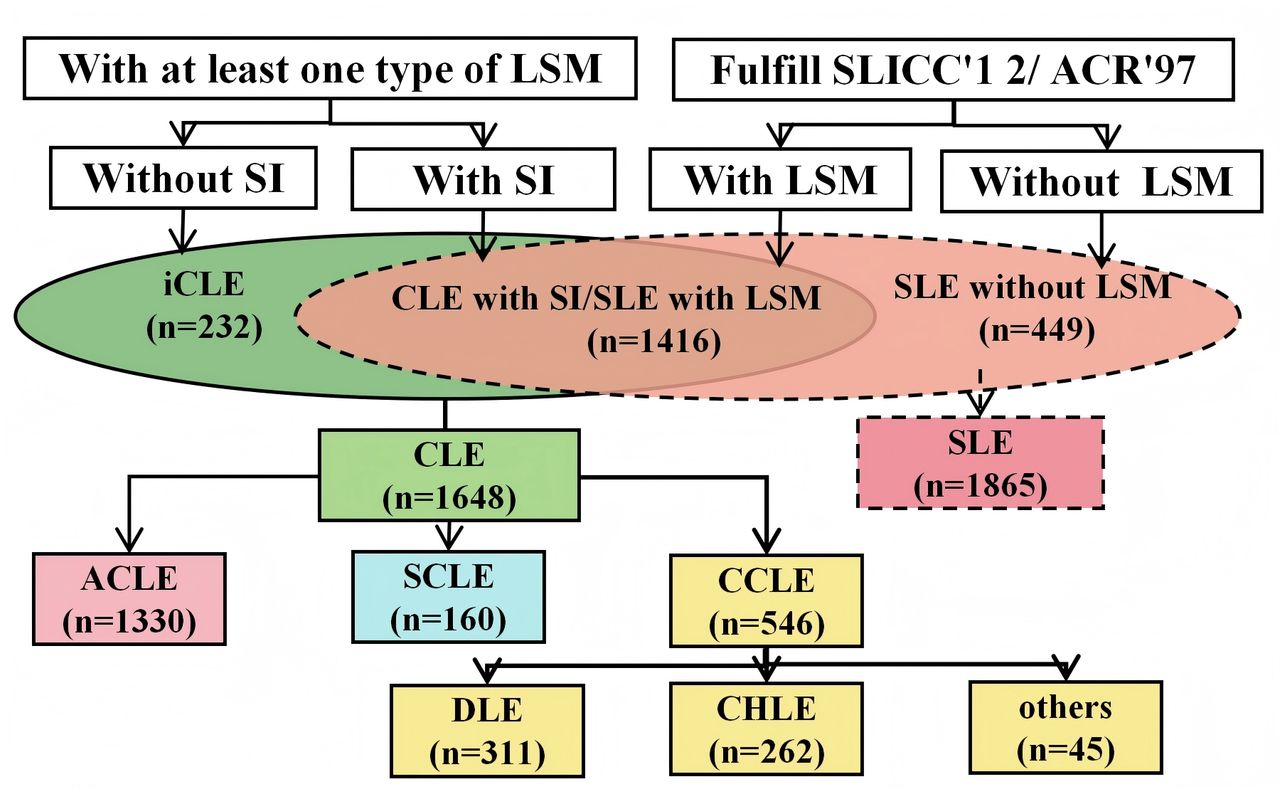 Sex-based clinical and immunological differences across lupus ...