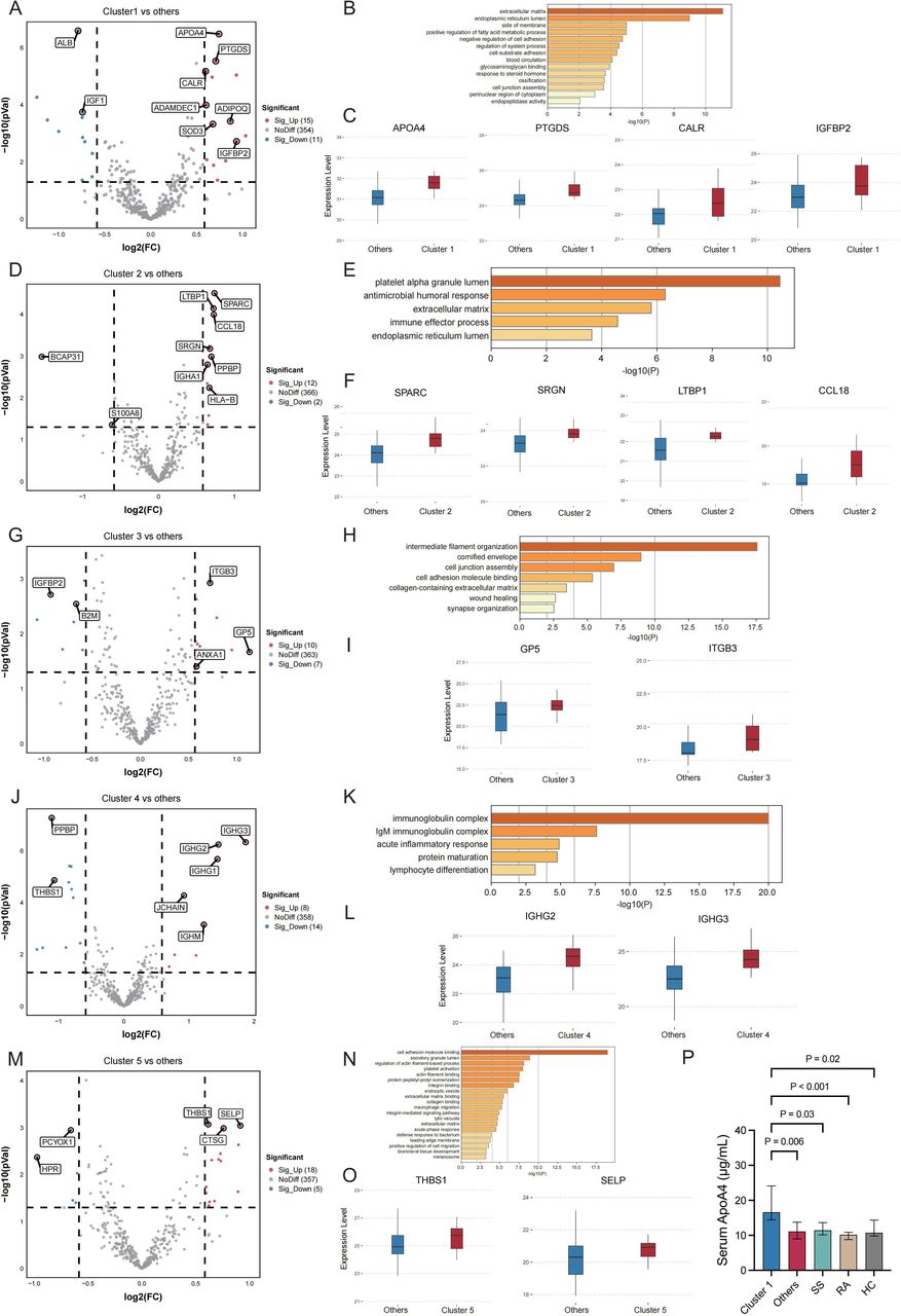 Unsupervised clustering of clinical and laboratory features of